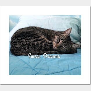 Sweet Dreams Posters and Art